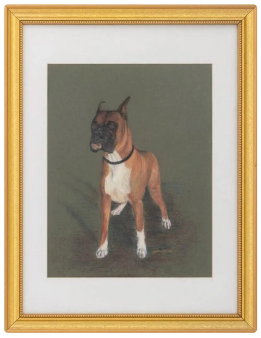 Original Pastel Illustration of Boxer | signed M. Kinley