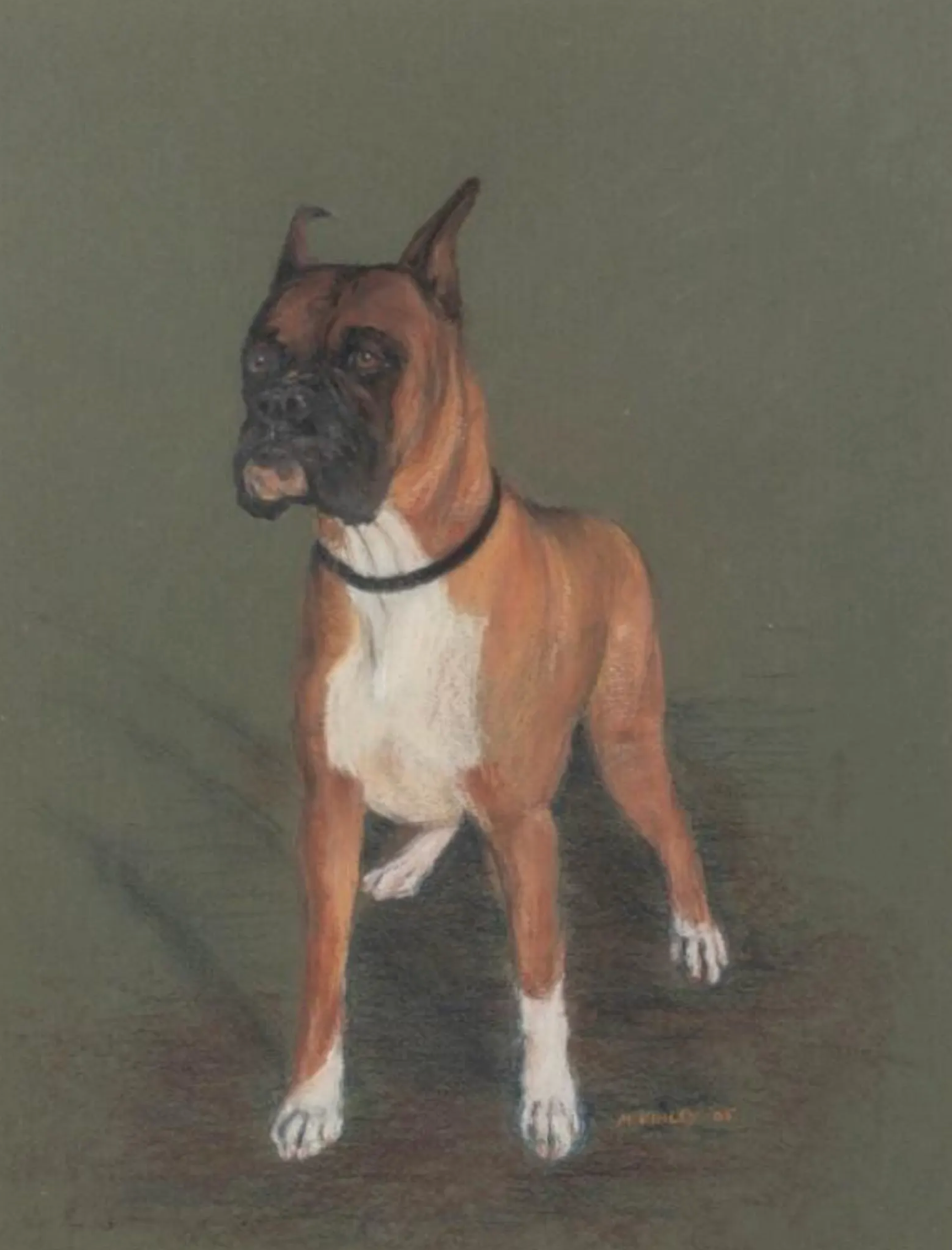 Original Pastel Illustration of Boxer | signed M. Kinley